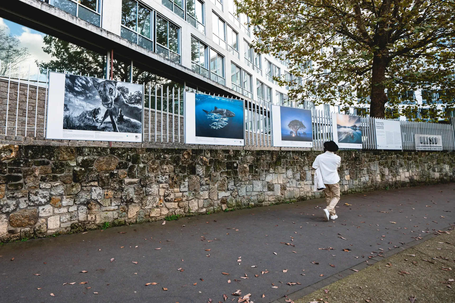 Reportage événementiel et corporate — TNX Agency